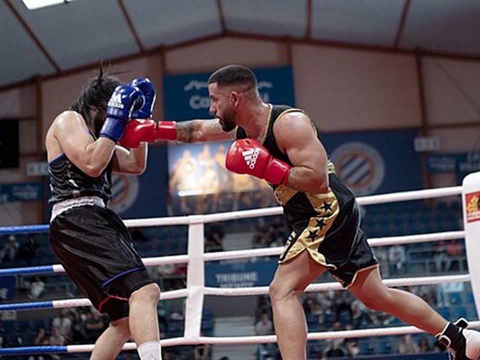 Technical Boxer in action